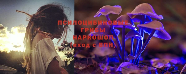 стафф Зерноград