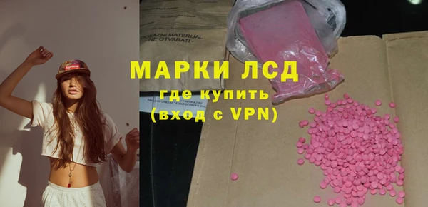 стафф Зерноград