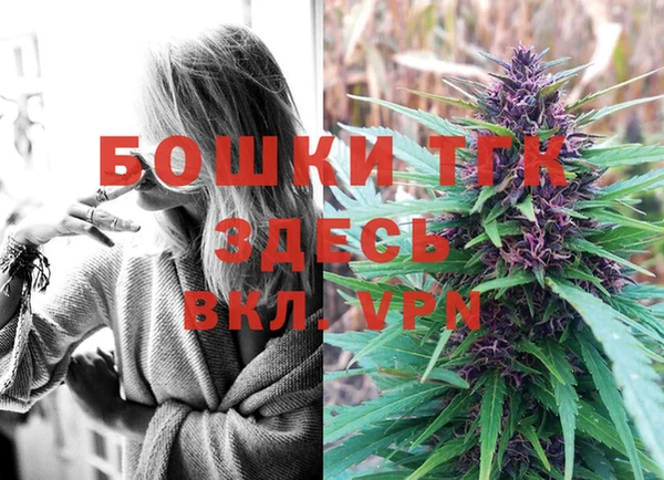 стафф Зерноград