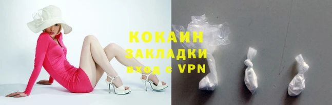 стафф Зерноград
